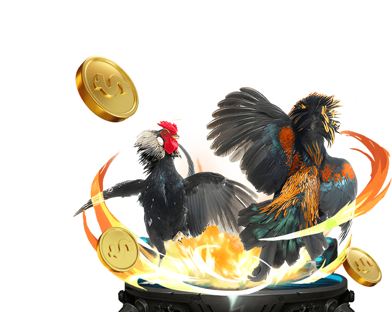 Đá Gà trực tuyến 789BET